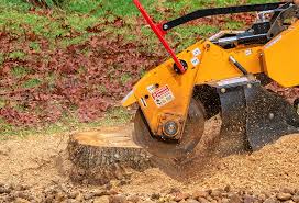 How Our Tree Care Process Works  in  Arroyo Seco, NM